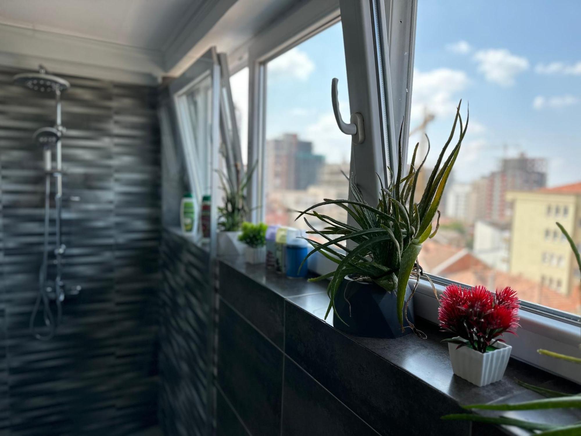 פרישטינה 38 Apartment 1 מראה חיצוני תמונה